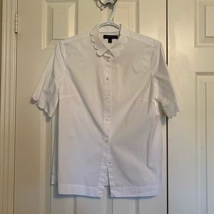 Short sleeve button down shirt